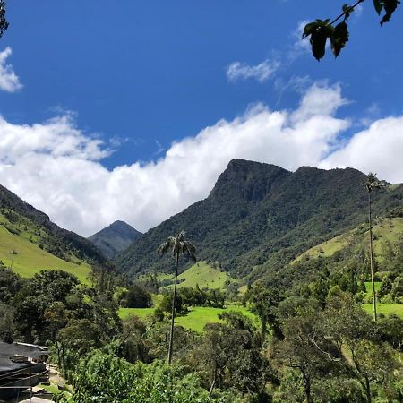 Cabanas Valle Del Cocora La Truchera Σαλέντο Εξωτερικό φωτογραφία