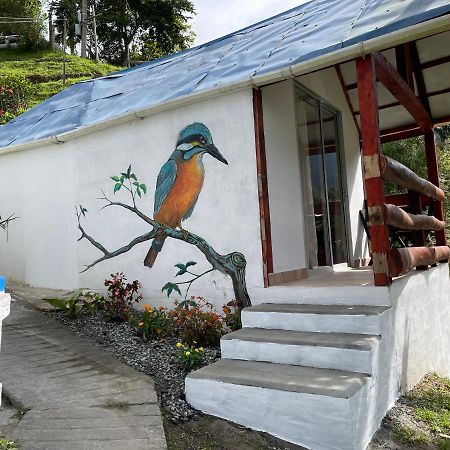 Cabanas Valle Del Cocora La Truchera Σαλέντο Εξωτερικό φωτογραφία