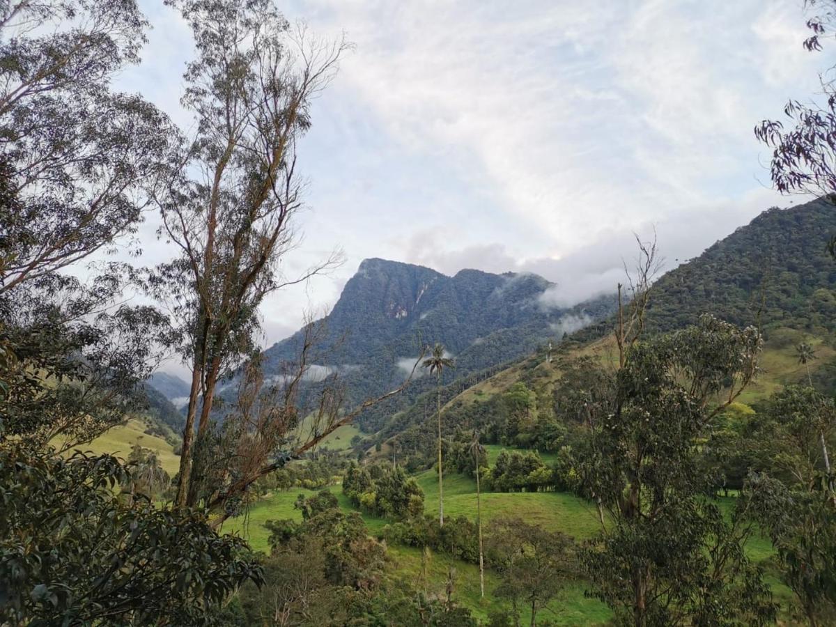 Cabanas Valle Del Cocora La Truchera Σαλέντο Εξωτερικό φωτογραφία