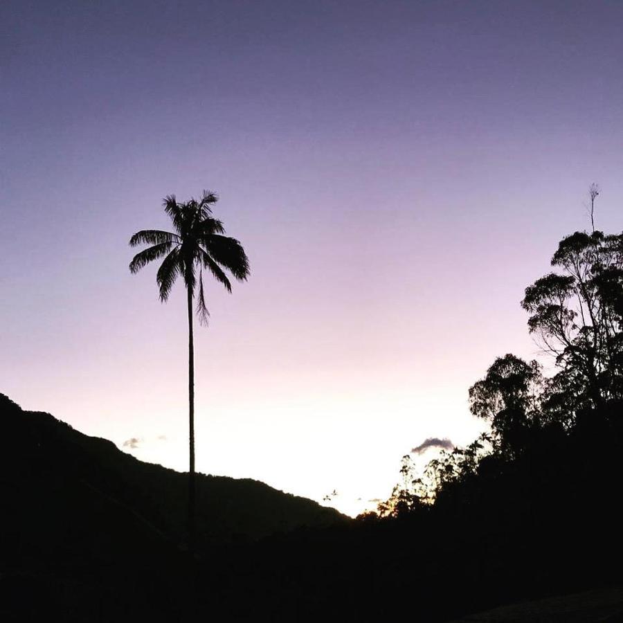 Cabanas Valle Del Cocora La Truchera Σαλέντο Εξωτερικό φωτογραφία