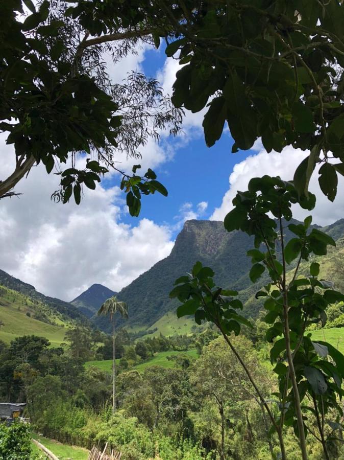 Cabanas Valle Del Cocora La Truchera Σαλέντο Εξωτερικό φωτογραφία