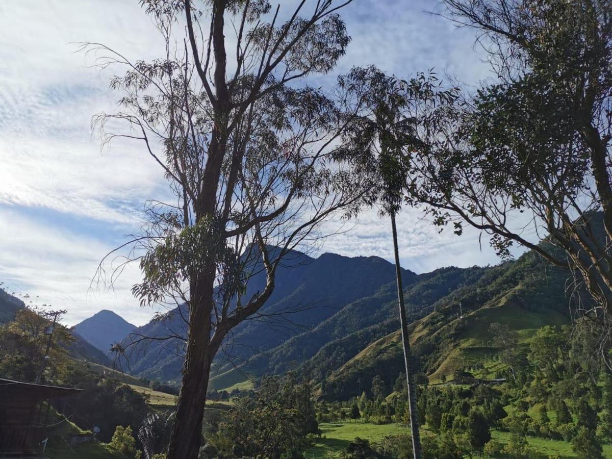 Cabanas Valle Del Cocora La Truchera Σαλέντο Εξωτερικό φωτογραφία