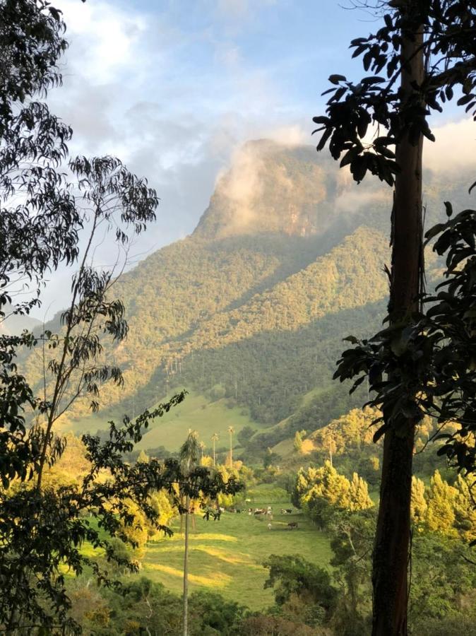 Cabanas Valle Del Cocora La Truchera Σαλέντο Εξωτερικό φωτογραφία