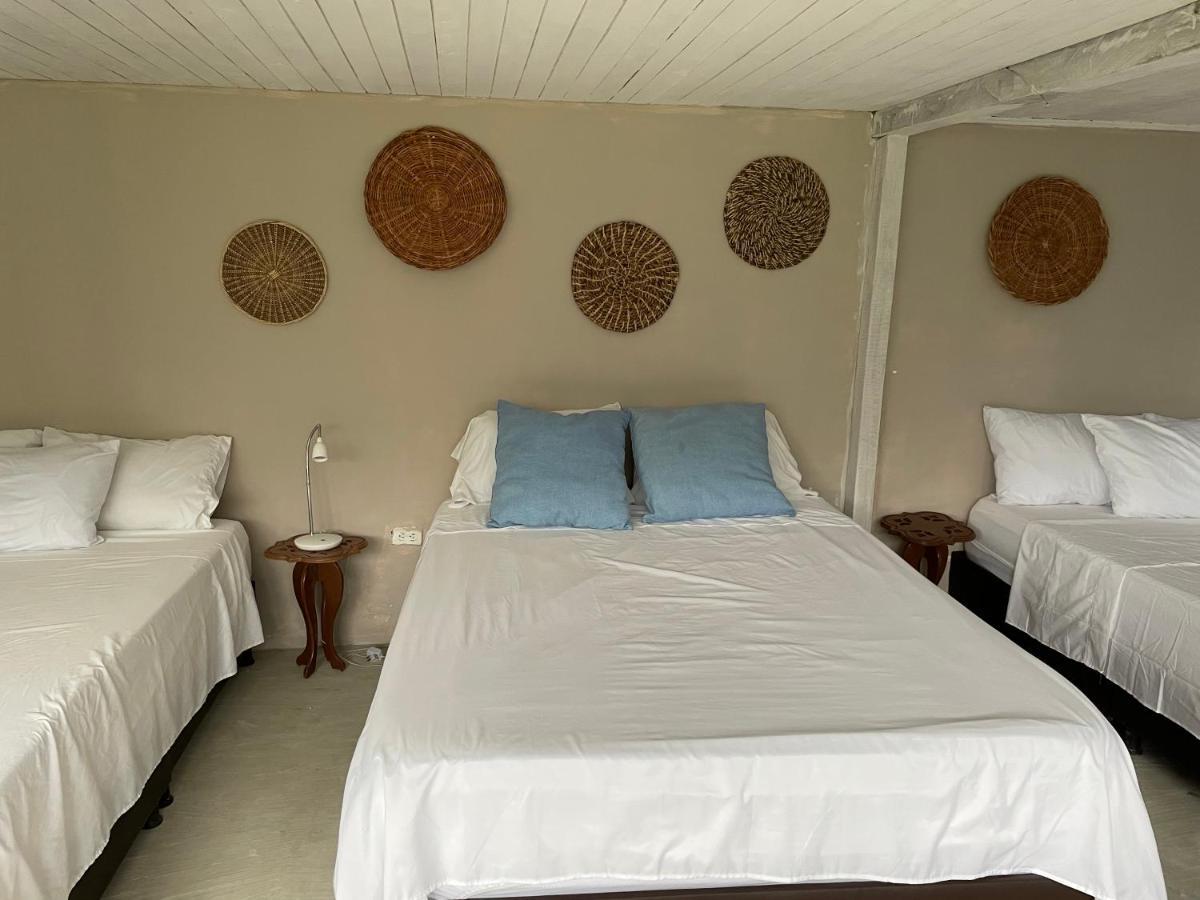 Cabanas Valle Del Cocora La Truchera Σαλέντο Εξωτερικό φωτογραφία