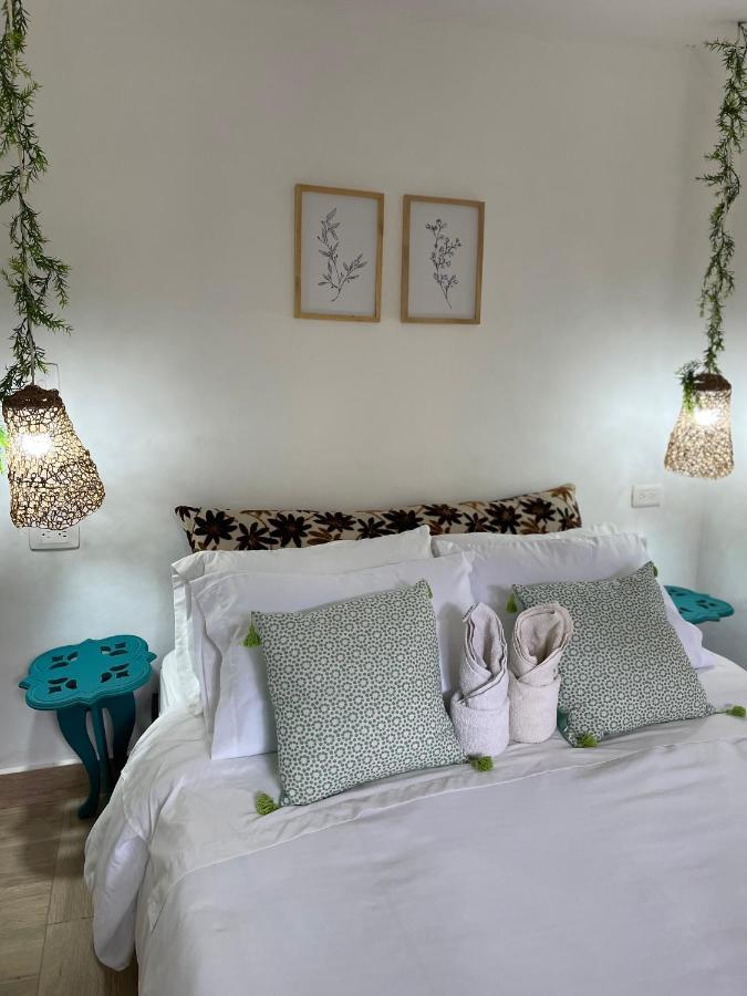 Cabanas Valle Del Cocora La Truchera Σαλέντο Εξωτερικό φωτογραφία