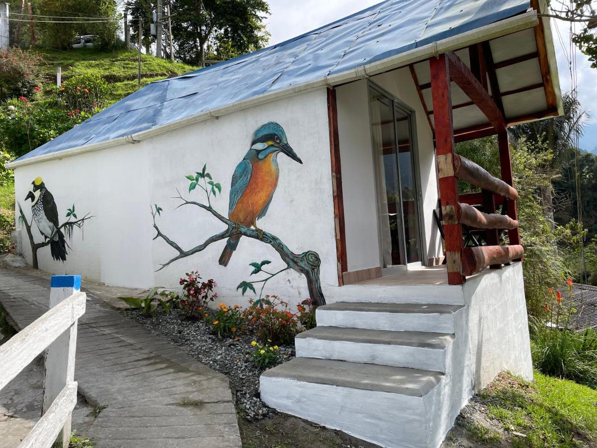 Cabanas Valle Del Cocora La Truchera Σαλέντο Εξωτερικό φωτογραφία