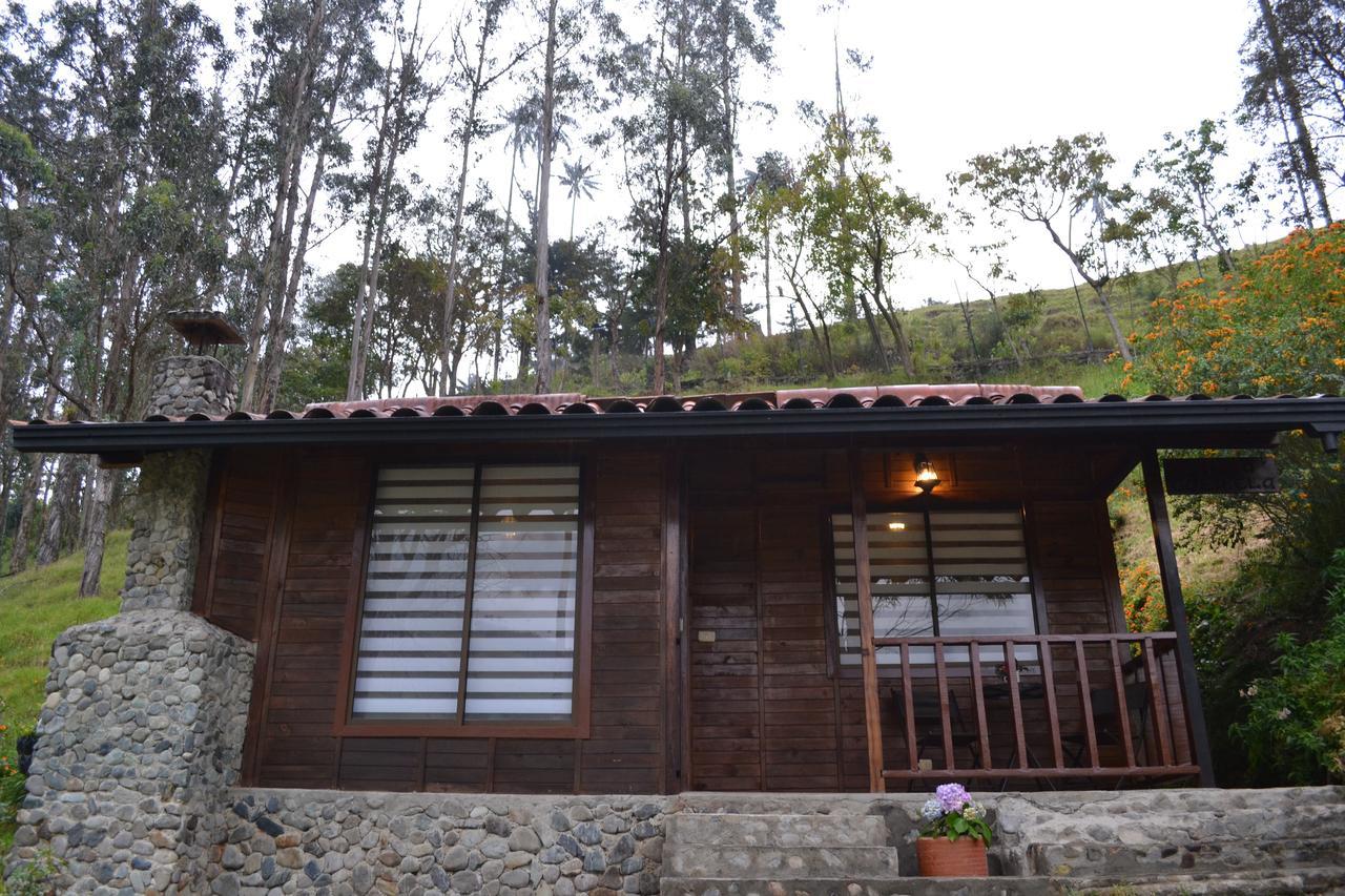 Cabanas Valle Del Cocora La Truchera Σαλέντο Εξωτερικό φωτογραφία