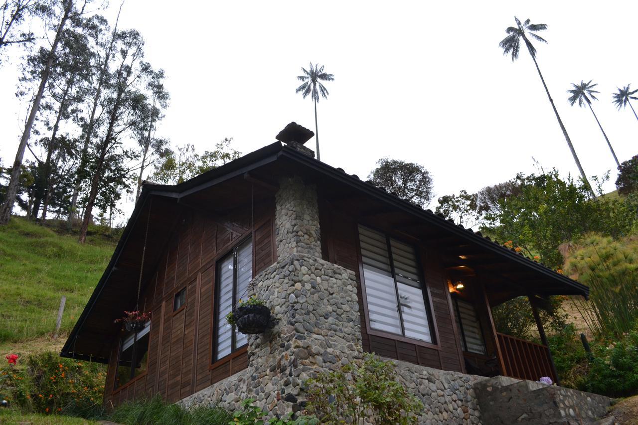 Cabanas Valle Del Cocora La Truchera Σαλέντο Εξωτερικό φωτογραφία