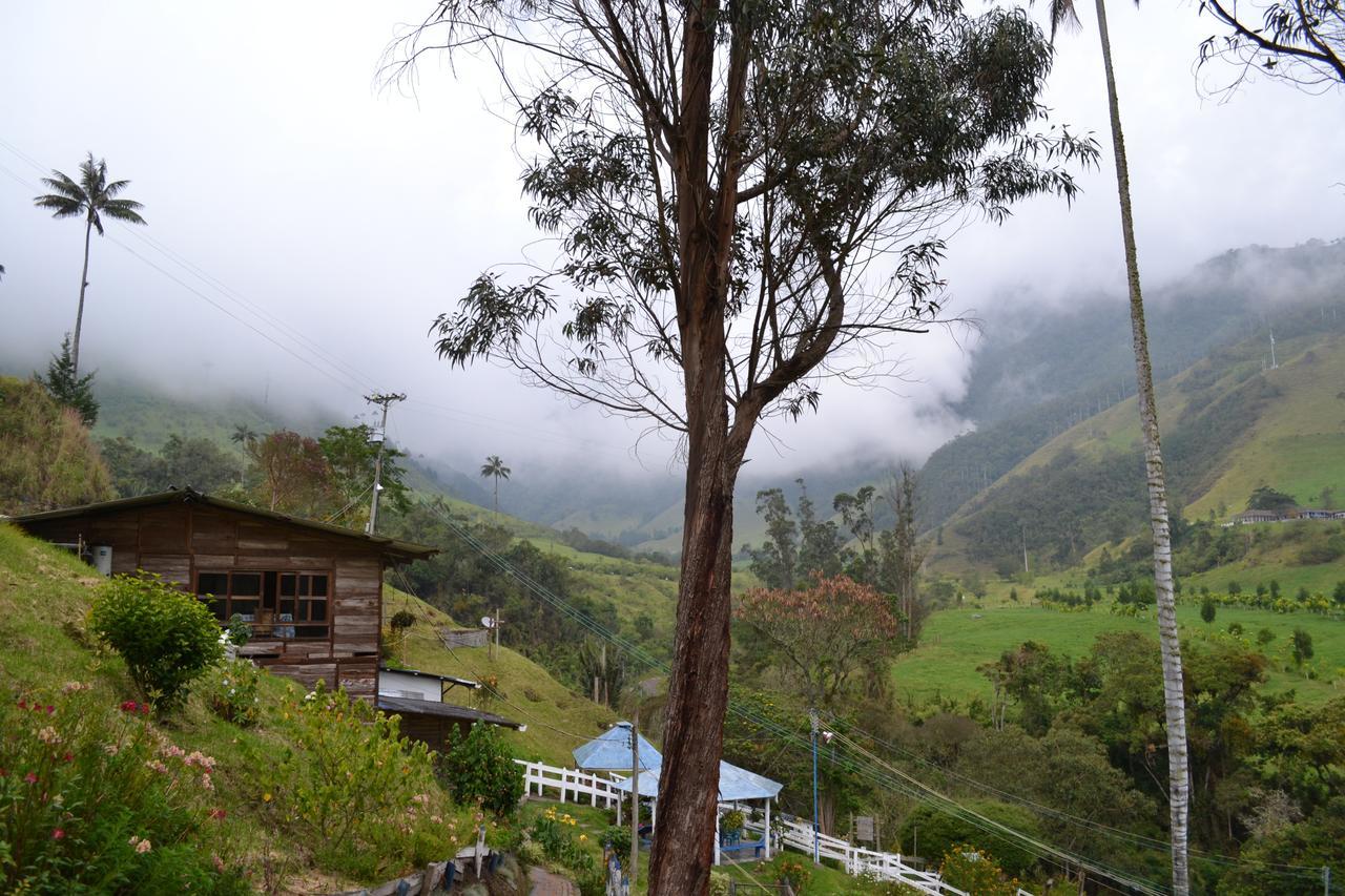 Cabanas Valle Del Cocora La Truchera Σαλέντο Εξωτερικό φωτογραφία