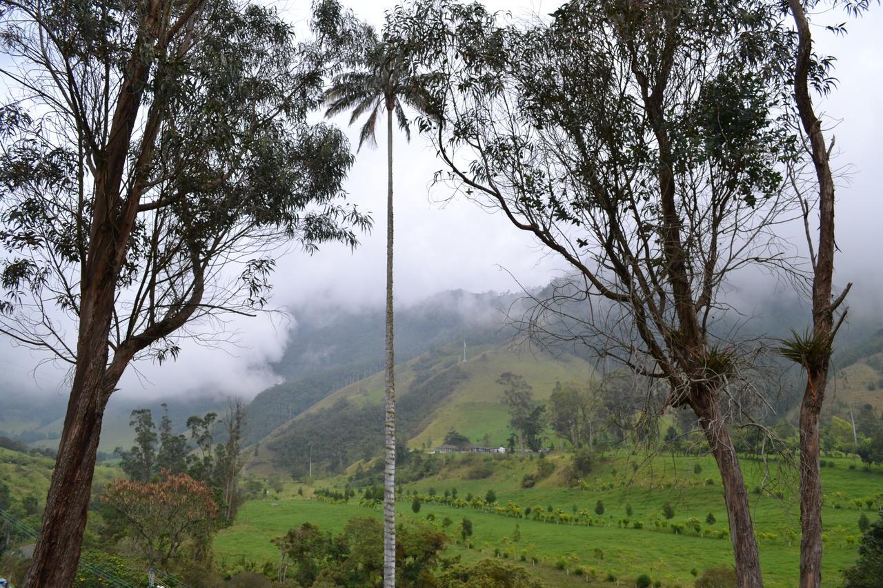 Cabanas Valle Del Cocora La Truchera Σαλέντο Εξωτερικό φωτογραφία