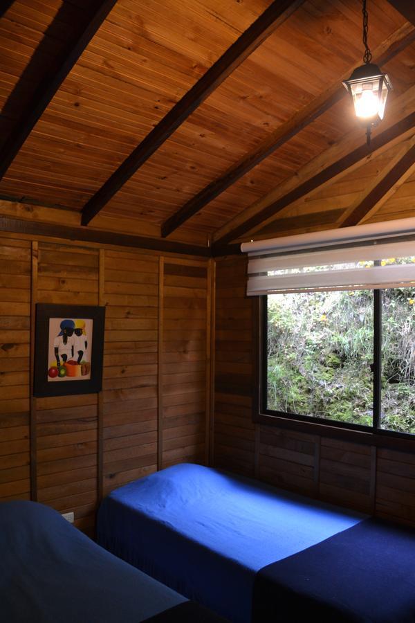 Cabanas Valle Del Cocora La Truchera Σαλέντο Εξωτερικό φωτογραφία