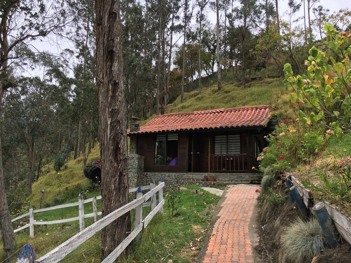 Cabanas Valle Del Cocora La Truchera Σαλέντο Εξωτερικό φωτογραφία