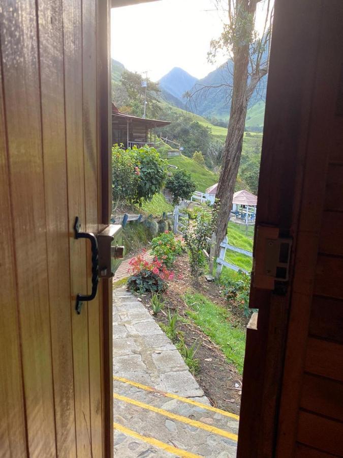 Cabanas Valle Del Cocora La Truchera Σαλέντο Εξωτερικό φωτογραφία