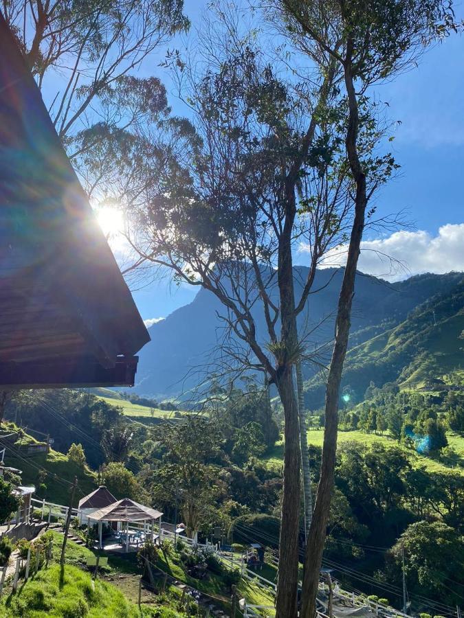 Cabanas Valle Del Cocora La Truchera Σαλέντο Εξωτερικό φωτογραφία