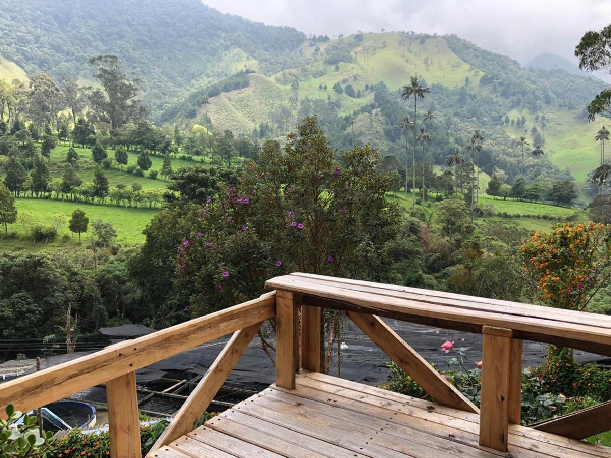 Cabanas Valle Del Cocora La Truchera Σαλέντο Εξωτερικό φωτογραφία