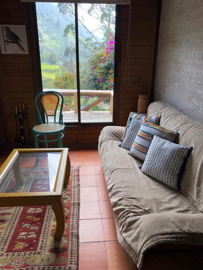 Cabanas Valle Del Cocora La Truchera Σαλέντο Εξωτερικό φωτογραφία