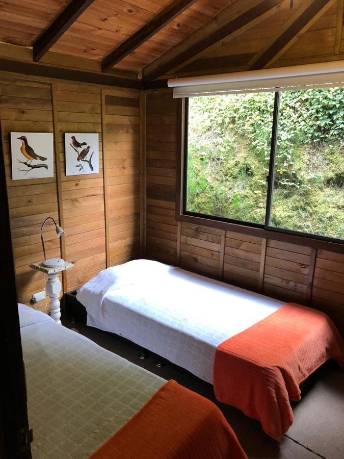 Cabanas Valle Del Cocora La Truchera Σαλέντο Εξωτερικό φωτογραφία