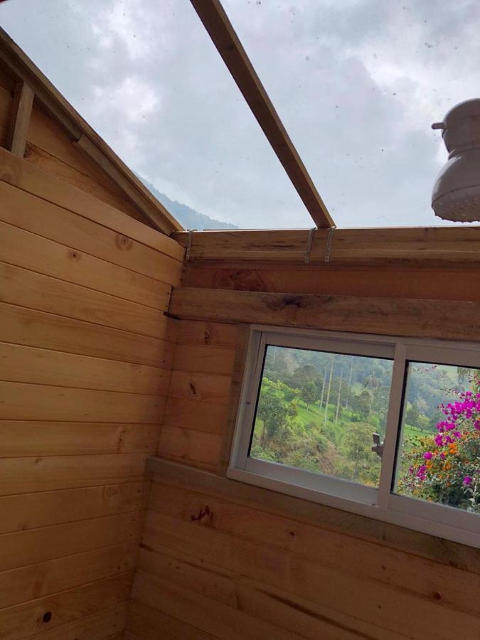 Cabanas Valle Del Cocora La Truchera Σαλέντο Εξωτερικό φωτογραφία