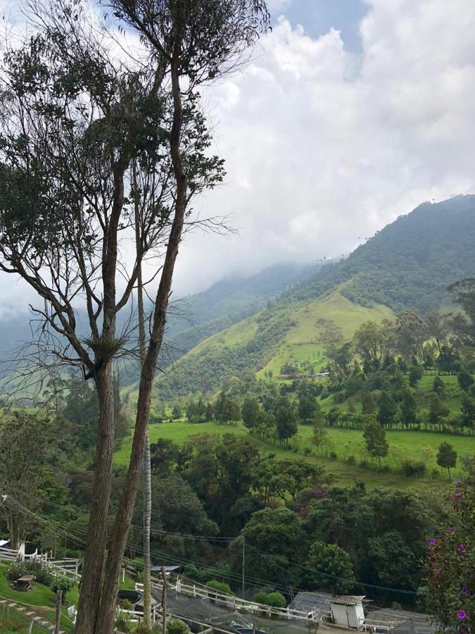 Cabanas Valle Del Cocora La Truchera Σαλέντο Εξωτερικό φωτογραφία