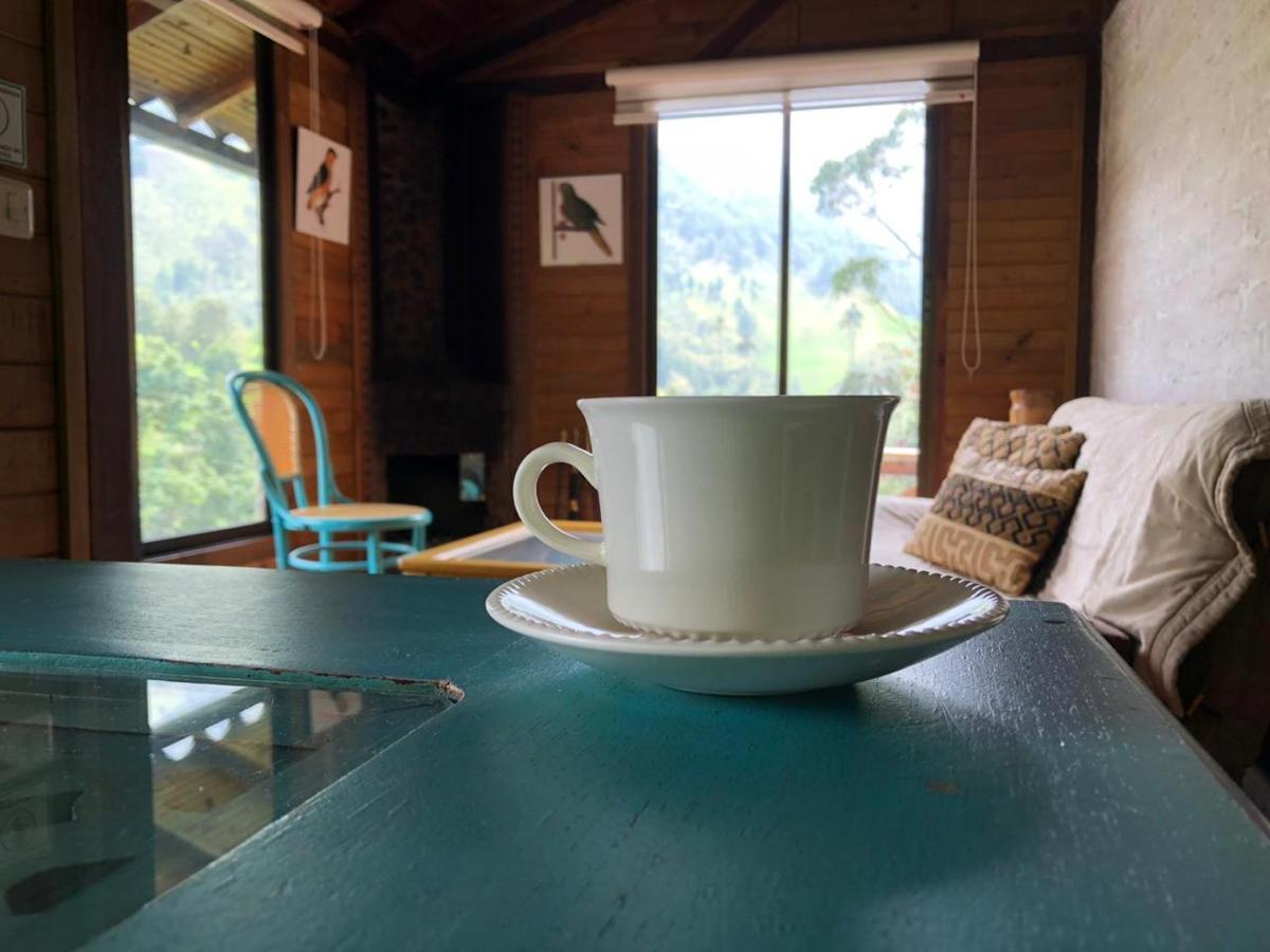 Cabanas Valle Del Cocora La Truchera Σαλέντο Εξωτερικό φωτογραφία