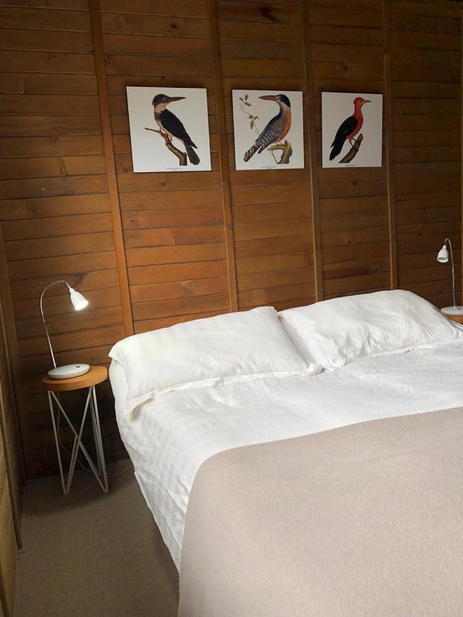 Cabanas Valle Del Cocora La Truchera Σαλέντο Εξωτερικό φωτογραφία