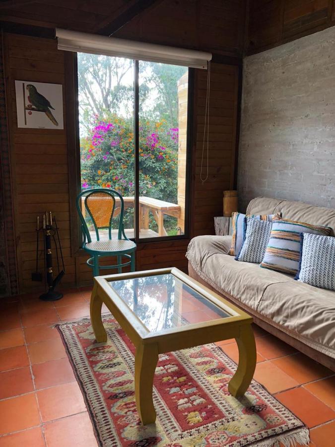 Cabanas Valle Del Cocora La Truchera Σαλέντο Εξωτερικό φωτογραφία