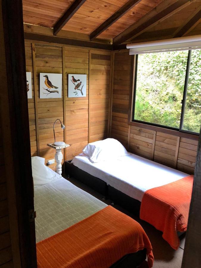 Cabanas Valle Del Cocora La Truchera Σαλέντο Εξωτερικό φωτογραφία