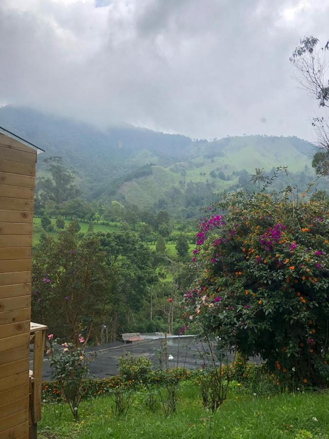 Cabanas Valle Del Cocora La Truchera Σαλέντο Εξωτερικό φωτογραφία