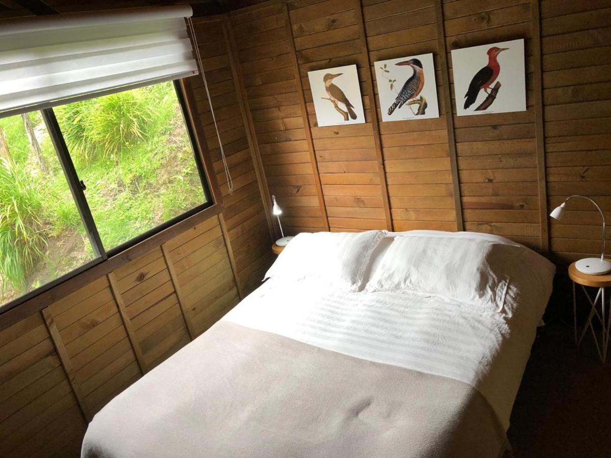 Cabanas Valle Del Cocora La Truchera Σαλέντο Εξωτερικό φωτογραφία
